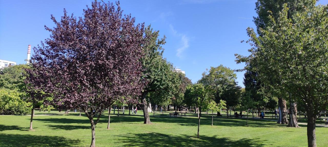 Appartement Aurelia's Comfy Place With Free Parking